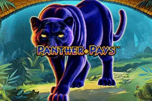 Playtech : Panther Pays - SUMMER138