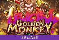 Golden Monkey - SUMMER138