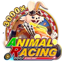 ANIMAL RACING - SUMMER138