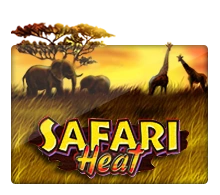 Safari Heat - SUMMER138