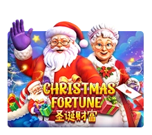 Christmas Fortune - SUMMER138