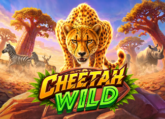 Cheetah Wild - SUMMER138