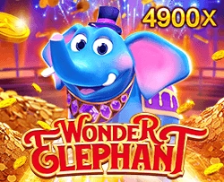 Wonder Elephant - SUMMER138