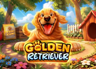 Golden Retriever - SUMMER138